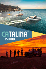 Nevada Long Island CatalinaIslandCCVB-Sitewide-Banner