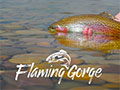 Wyoming Flaming Gorge National Recreation Area FlamingGorgeCountry-button