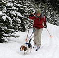 Cross Country Skiing in Carbon County, Wyoming