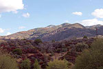 Pinal Mountains